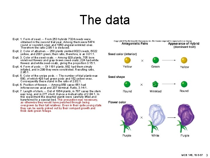 The data Expt. 1. Form of seed. -- From 253 hybrids 7324 seeds were