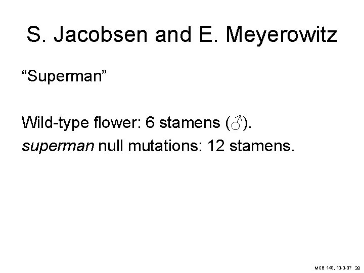 S. Jacobsen and E. Meyerowitz “Superman” Wild-type flower: 6 stamens (♂). superman null mutations: