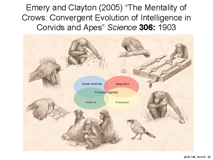 Emery and Clayton (2005) “The Mentality of Crows: Convergent Evolution of Intelligence in Corvids