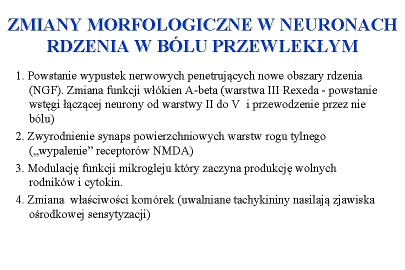 ZMIANY MORFOLOGICZNE W NEURONACH RDZENIA W BÓLU PRZEWLEKŁYM 1. Powstanie wypustek nerwowych penetrujących nowe