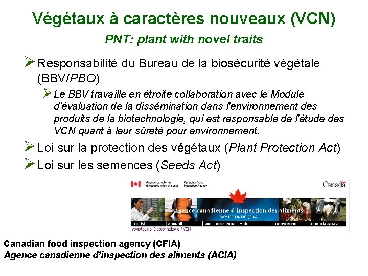 Végétaux à caractères nouveaux (VCN) PNT: plant with novel traits Ø Responsabilité du Bureau