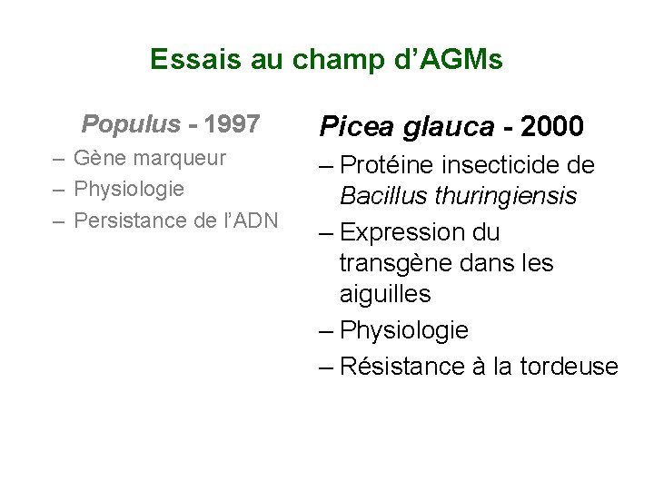 Essais au champ d’AGMs Populus - 1997 – Gène marqueur – Physiologie – Persistance