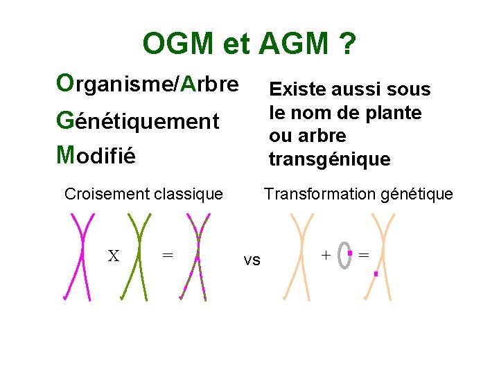 OGM et AGM ? Organisme/Arbre Génétiquement Modifié Existe aussi sous le nom de plante