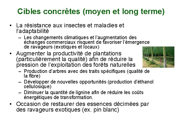 Cibles concrètes (moyen et long terme) • La résistance aux insectes et maladies et
