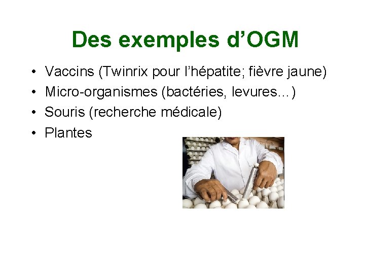 Des exemples d’OGM • • Vaccins (Twinrix pour l’hépatite; fièvre jaune) Micro-organismes (bactéries, levures…)