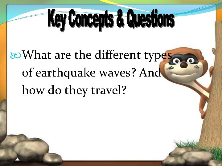  What are the different types of earthquake waves? And how do they travel?