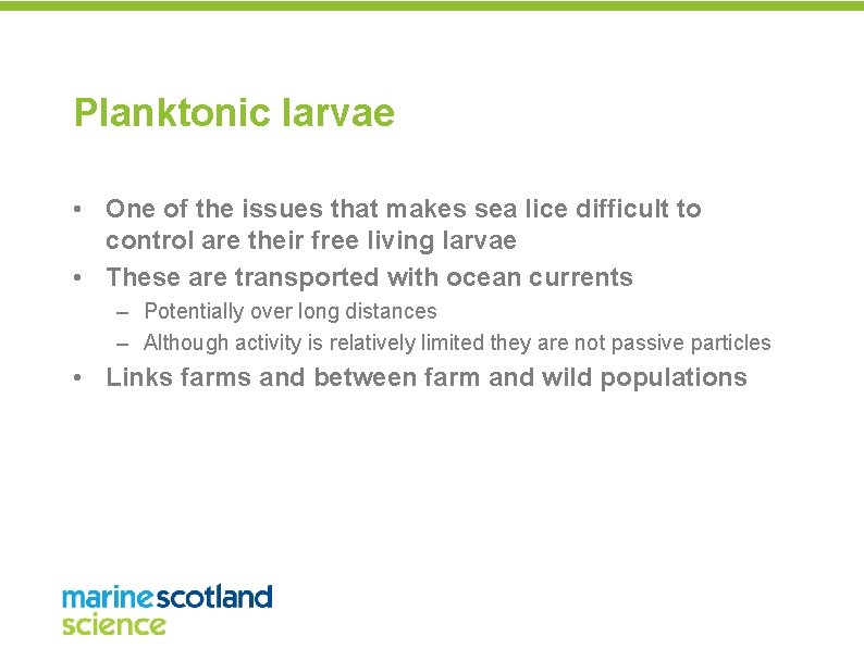 Planktonic larvae • One of the issues that makes sea lice difficult to control