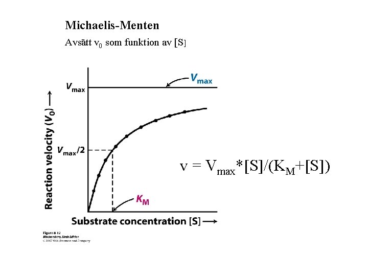 Michaelis-Menten Avsätt v 0 som funktion av [S] v = Vmax*[S]/(KM+[S]) 