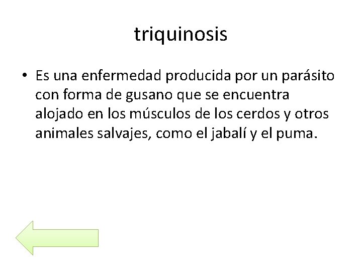 triquinosis • Es una enfermedad producida por un parásito con forma de gusano que