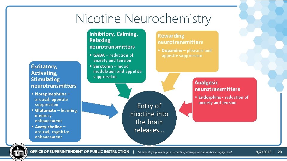 Nicotine Neurochemistry Inhibitory, Calming, Relaxing neurotransmitters Excitatory, Activating, Stimulating neurotransmitters • Norepinephrine – arousal,