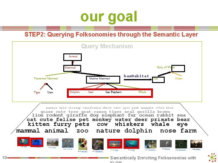 our goal STEP 2: Querying Folksonomies through the Semantic Layer Query Mechanism Animal Body