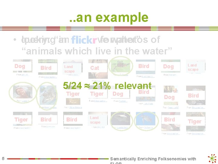 . . an example looking“animal in forwater” photos of • query: live “animals which