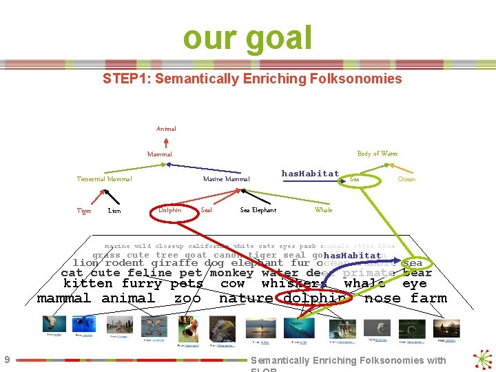 our goal STEP 1: Semantically Enriching Folksonomies Animal Body of Water Mammal Terrestrial Mammal