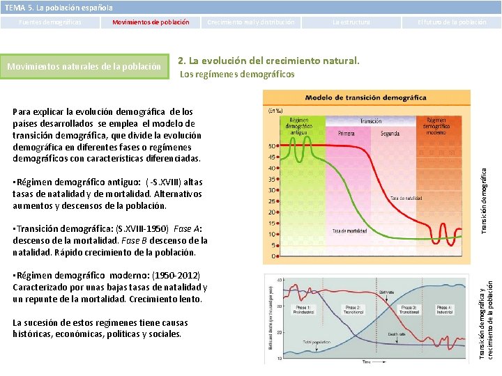 TEMA 5. La población española Fuentes demográficas Movimientos de población Movimientos naturales de la TEMA 5. La población española Fuentes demográficas Movimientos de población Movimientos naturales de la