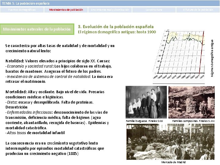 TEMA 5. La población española Movimientos de población Movimientos naturales de la población Crecimiento TEMA 5. La población española Movimientos de población Movimientos naturales de la población Crecimiento