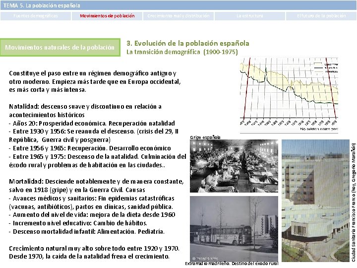 TEMA 5. La población española Fuentes demográficas Movimientos de población Movimientos naturales de la TEMA 5. La población española Fuentes demográficas Movimientos de población Movimientos naturales de la