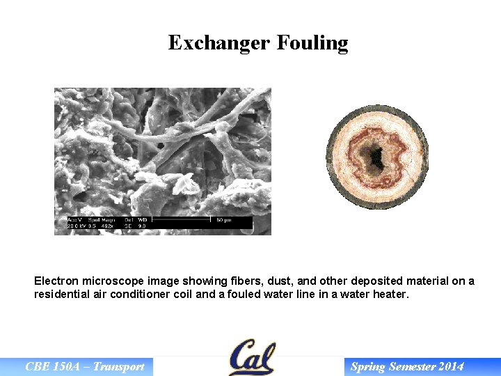 Exchanger Fouling Electron microscope image showing fibers, dust, and other deposited material on a