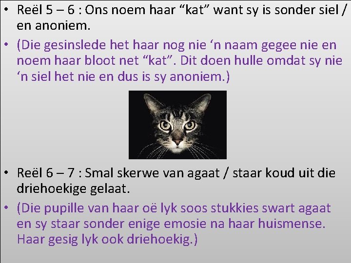  • Reël 5 – 6 : Ons noem haar “kat” want sy is