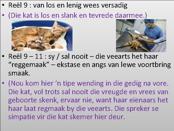  • Reël 9 : van los en lenig wees versadig • (Die kat