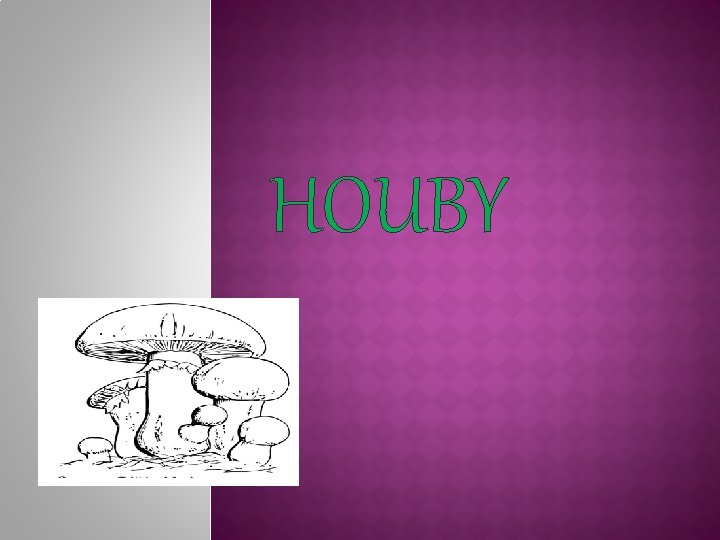 HOUBY 