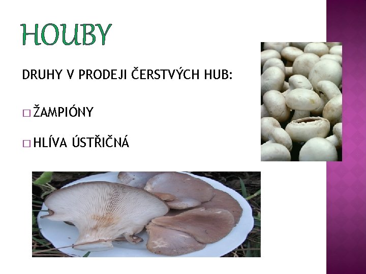 HOUBY DRUHY V PRODEJI ČERSTVÝCH HUB: � ŽAMPIÓNY � HLÍVA ÚSTŘIČNÁ 