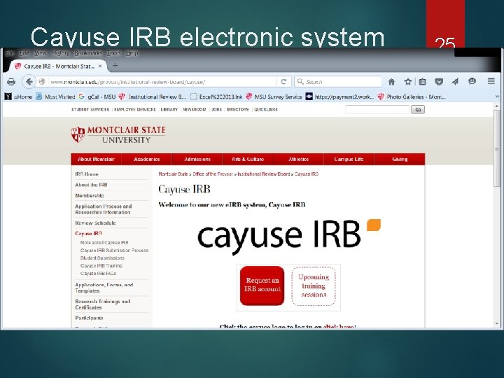 Cayuse IRB electronic system 25 