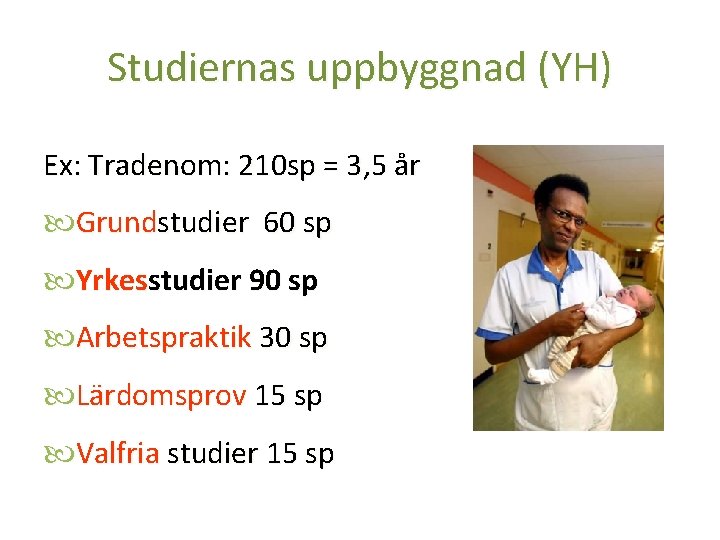 Studiernas uppbyggnad (YH) Ex: Tradenom: 210 sp = 3, 5 år Grundstudier 60 sp