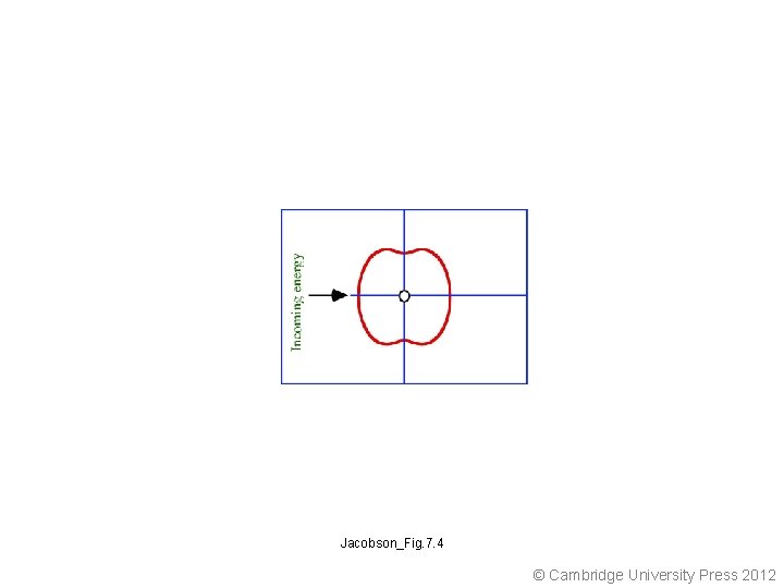 Jacobson_Fig. 7. 4 © Cambridge University Press 2012 