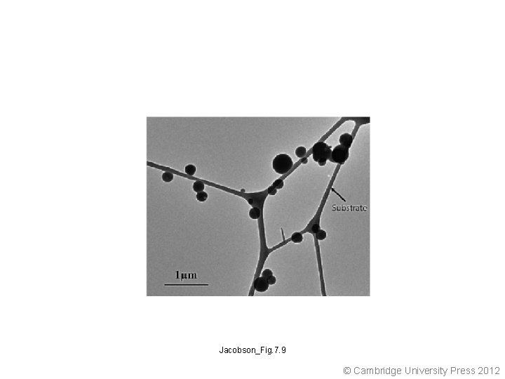 Jacobson_Fig. 7. 9 © Cambridge University Press 2012 