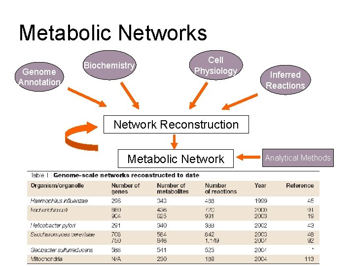 Metabolic Networks Genome Annotation Biochemistry Cell Physiology Inferred Reactions Network Reconstruction Metabolic Network Analytical