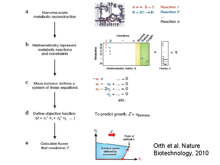 Orth et al. Nature Biotechnology, 2010 