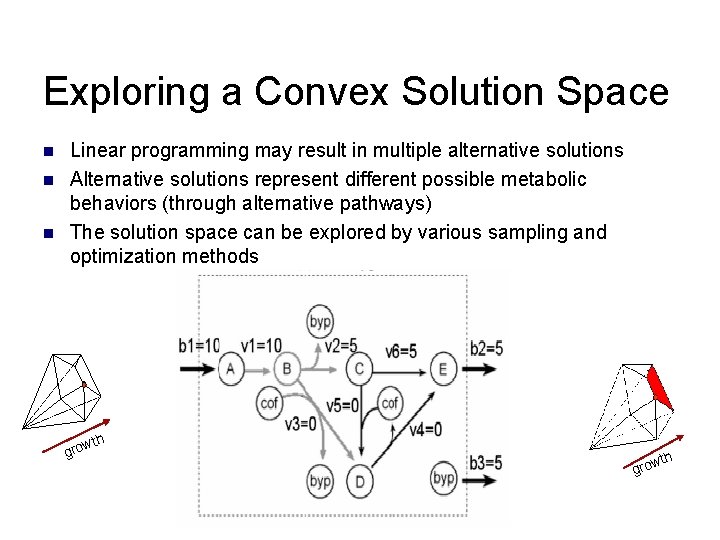 Exploring a Convex Solution Space n n n Linear programming may result in multiple