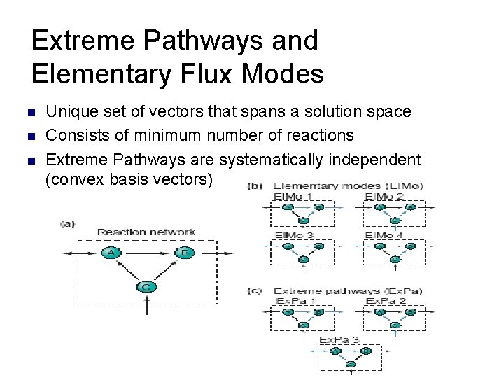 Extreme Pathways and Elementary Flux Modes n n n Unique set of vectors that