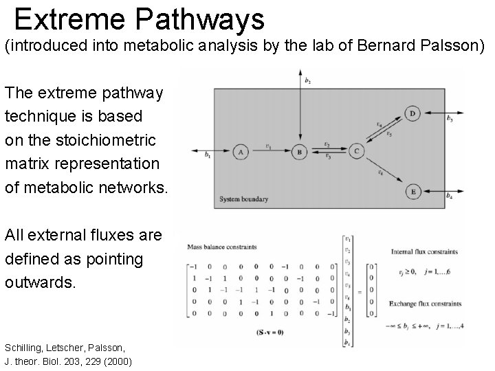 Extreme Pathways (introduced into metabolic analysis by the lab of Bernard Palsson) The extreme
