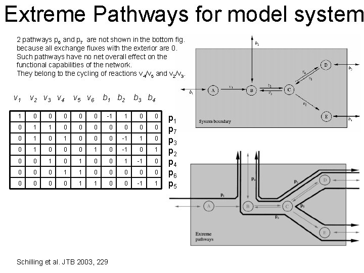 Extreme Pathways for model system 2 pathways p 6 and p 7 are not