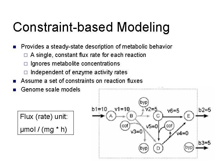 Constraint-based Modeling n n n Provides a steady-state description of metabolic behavior ¨ A