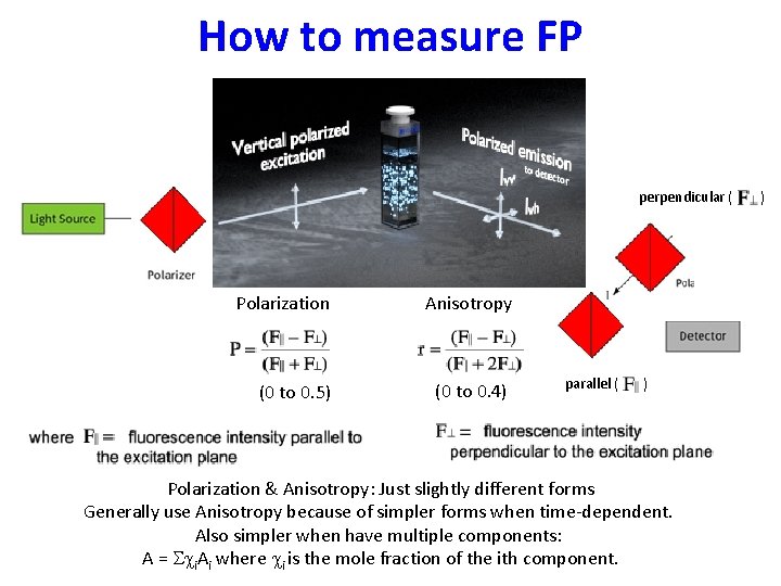 How to measure FP perpendicular ( Polarization Anisotropy (0 to 0. 5) (0 to