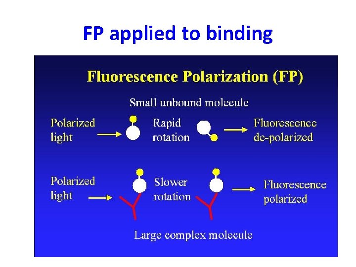 FP applied to binding 