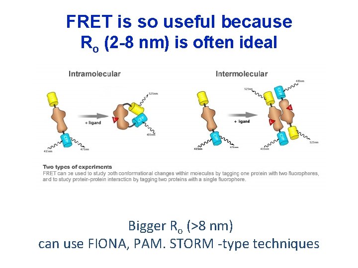 FRET is so useful because Ro (2 -8 nm) is often ideal Bigger Ro