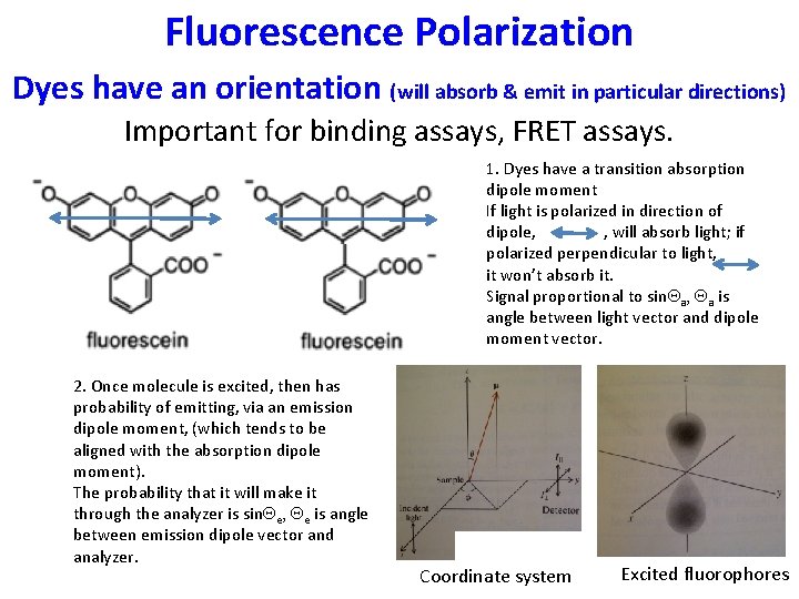 Fluorescence Polarization Dyes have an orientation (will absorb & emit in particular directions) Important