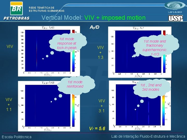 REDE TEMÁTICA DE ESTRUTURAS SUBMARINAS Vertical Model: VIV + imposed motion Ay/D VIV 1
