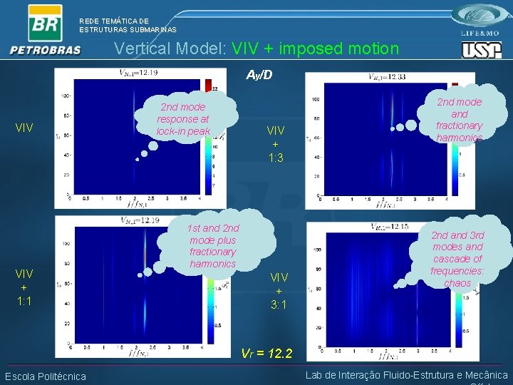 REDE TEMÁTICA DE ESTRUTURAS SUBMARINAS Vertical Model: VIV + imposed motion Ay/D VIV +