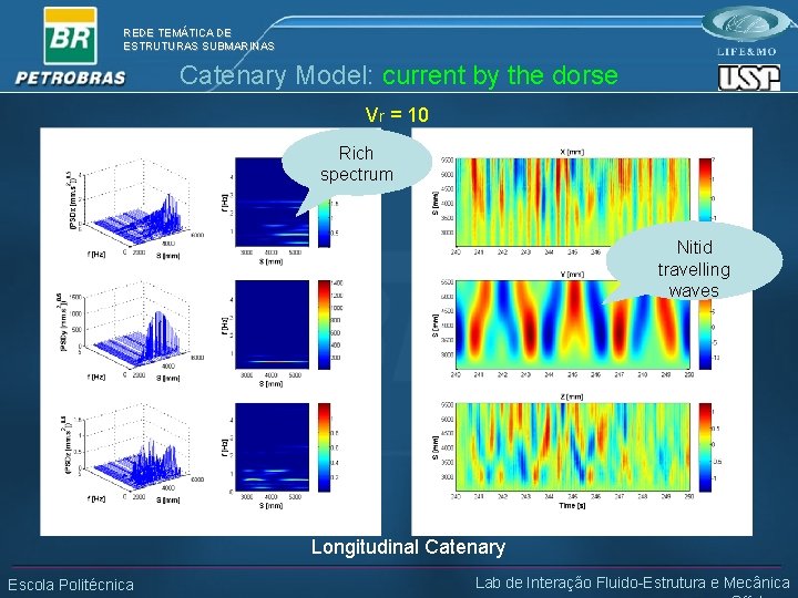 REDE TEMÁTICA DE ESTRUTURAS SUBMARINAS Catenary Model: current by the dorse Vr = 10