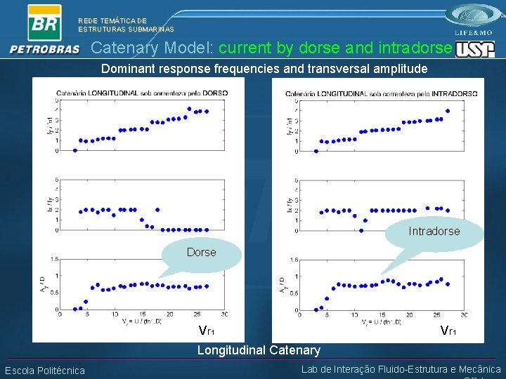 REDE TEMÁTICA DE ESTRUTURAS SUBMARINAS Catenary Model: current by dorse and intradorse Dominant response