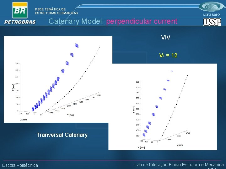 REDE TEMÁTICA DE ESTRUTURAS SUBMARINAS Catenary Model: perpendicular current VIV Vr = 12 Tranversal