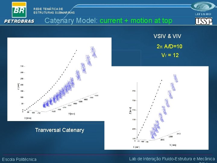 REDE TEMÁTICA DE ESTRUTURAS SUBMARINAS Catenary Model: current + motion at top VSIV &