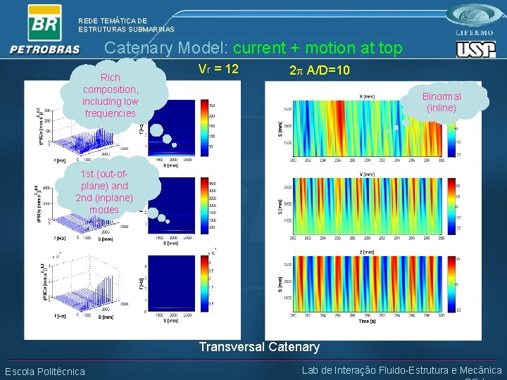REDE TEMÁTICA DE ESTRUTURAS SUBMARINAS Catenary Model: current + motion at top Rich composition,