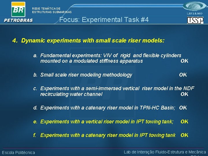 REDE TEMÁTICA DE ESTRUTURAS SUBMARINAS Focus: Experimental Task #4 4. Dynamic experiments with small