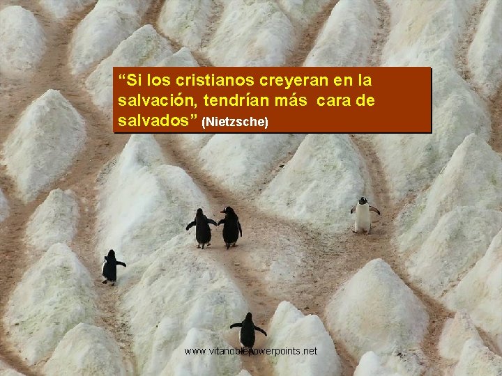 “Si los cristianos creyeran en la salvación, tendrían más cara de salvados” (Nietzsche) www.