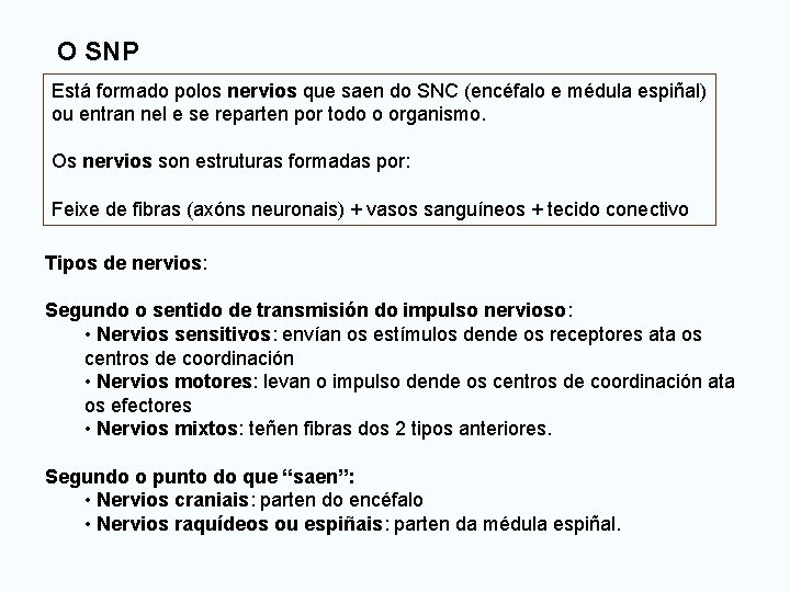 O SNP Está formado polos nervios que saen do SNC (encéfalo e médula espiñal)